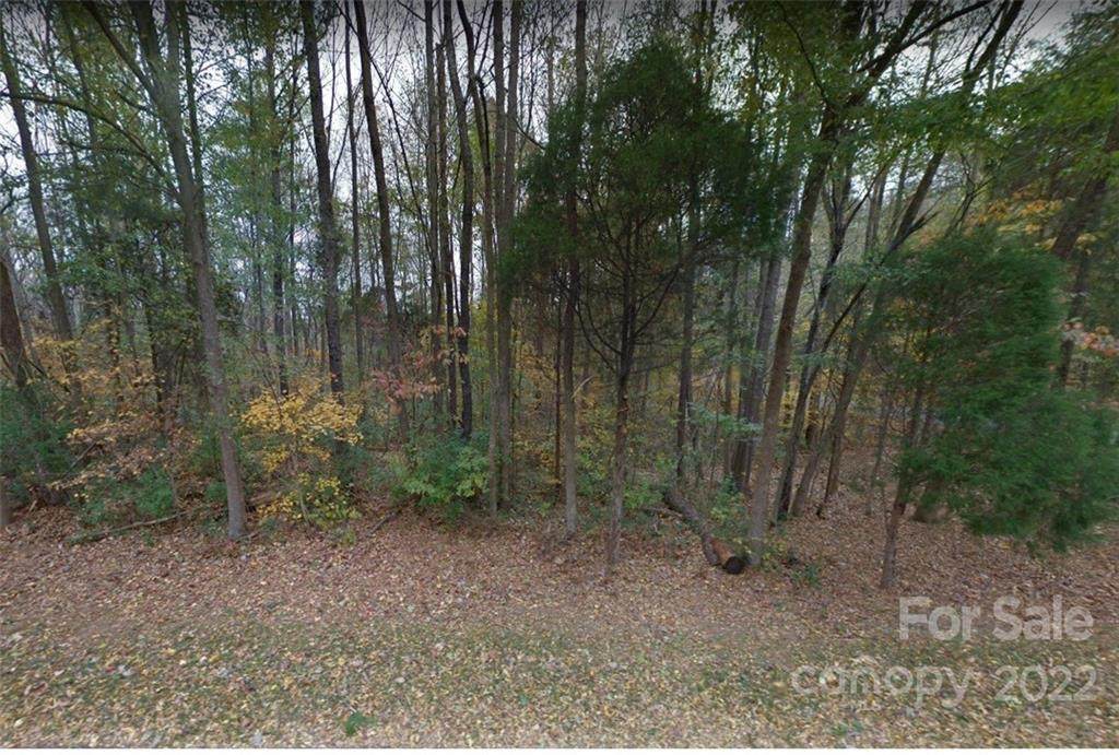 9900 & 9908 Amazona Drive - Photo 1