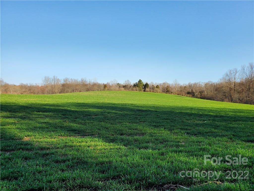 385 Hamps Dairy Lane - Photo 1