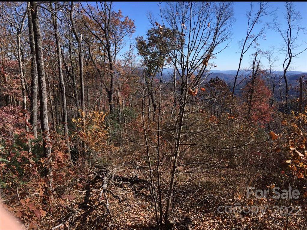 959 Waites Hollifield Road - Photo 1