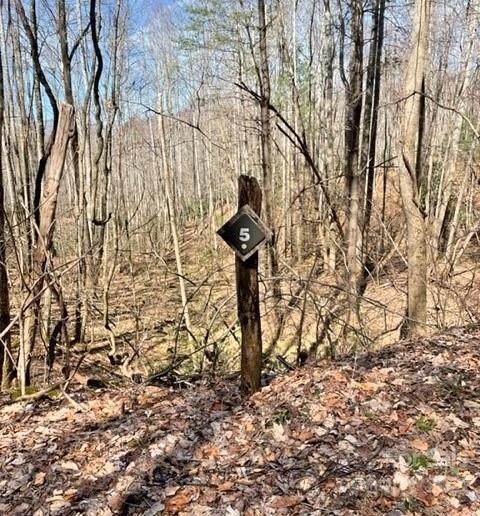 5 Preserve Road - Photo 1