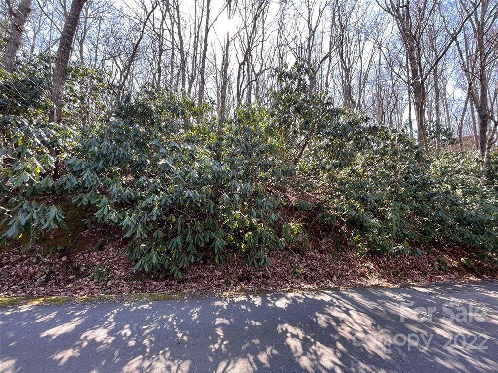 111 Deer Run Lane - Photo 1