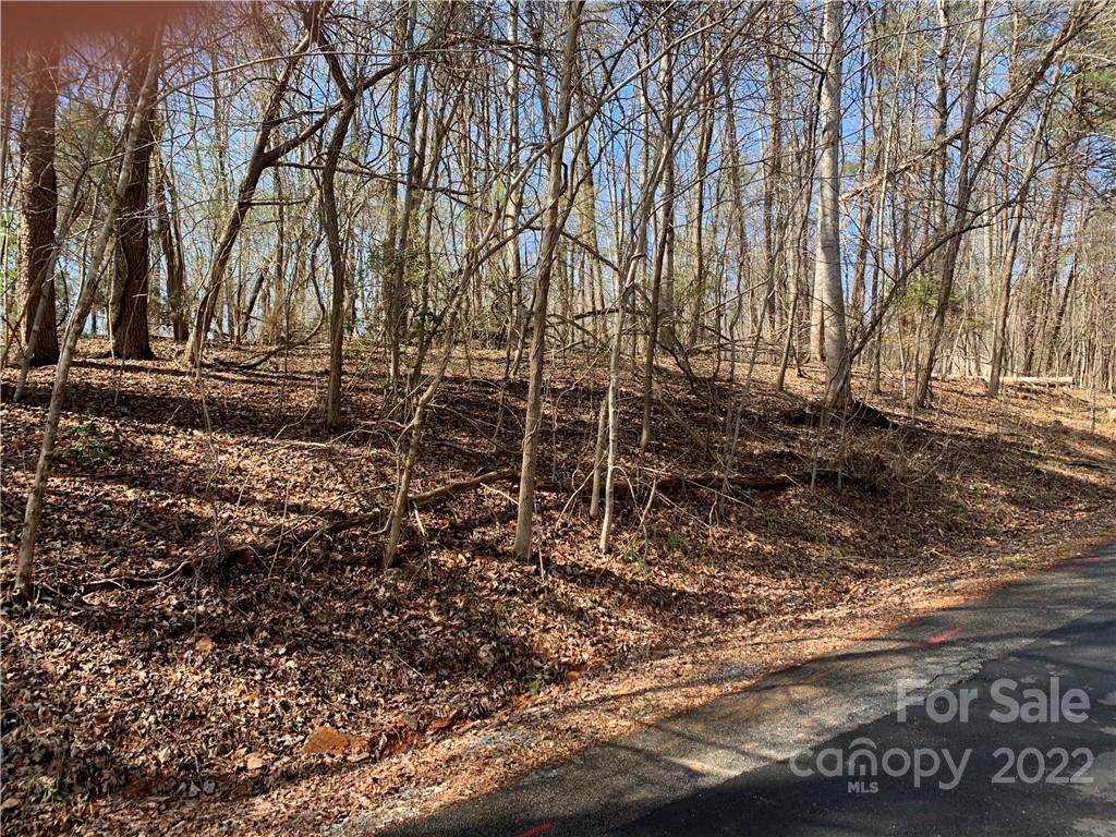 0 Whitney Boulevard - Photo 1