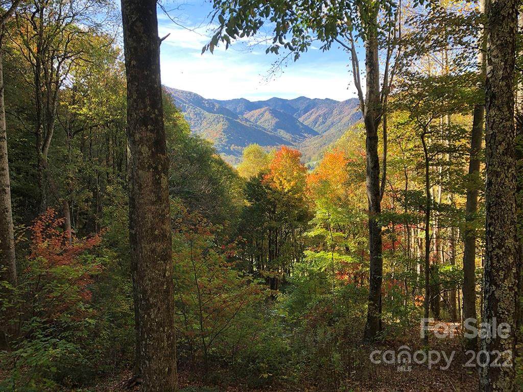 654 Rich Cove Road - Photo 1