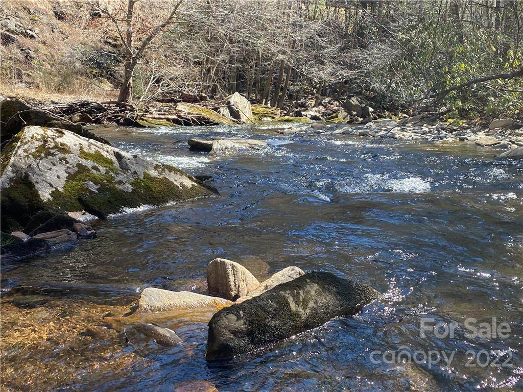 000 Buck Creek Road - Photo 1