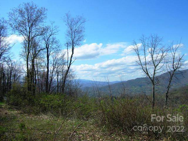 Lot #23 Gap Road - Photo 1