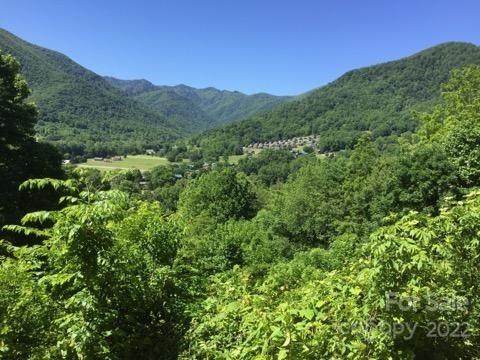 Lots54,PT53,50 Slim Ridge - Photo 1