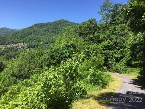 Lots54,PT53,50 Slim Ridge - Photo 1