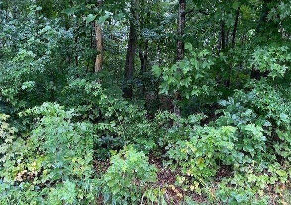 Lot13 Robinhood Loop - Photo 1