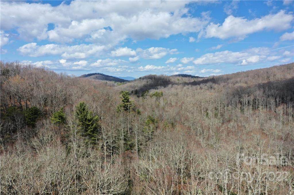 0 Bald Mountain Road - Photo 1