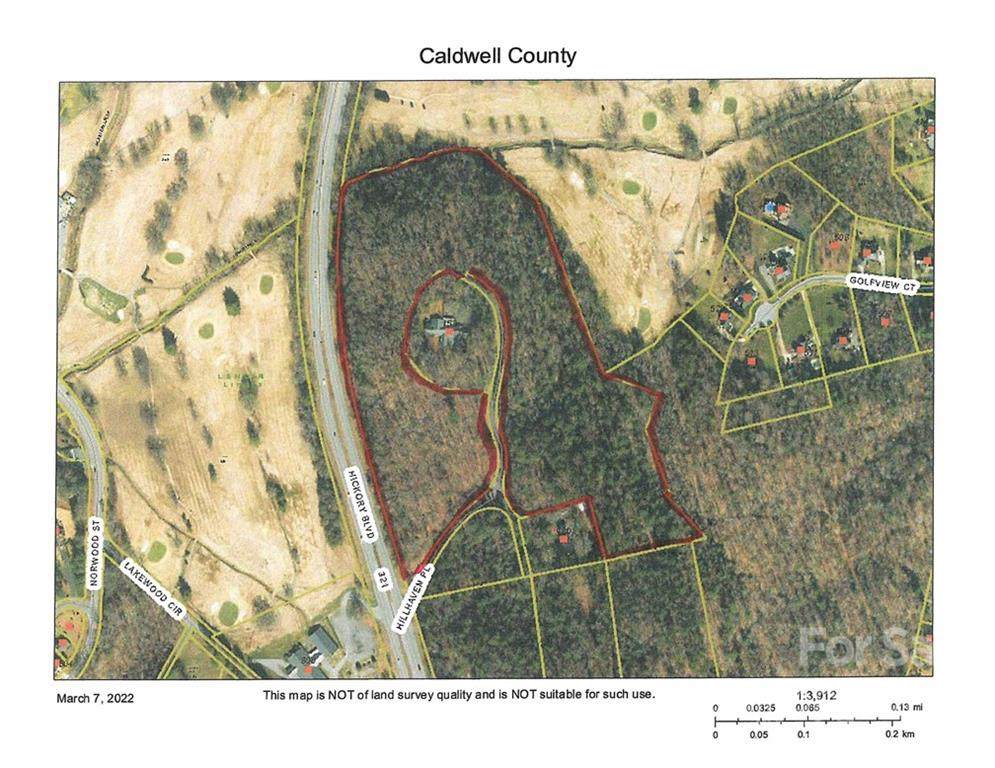 TBD Hickory Boulevard - Photo 1