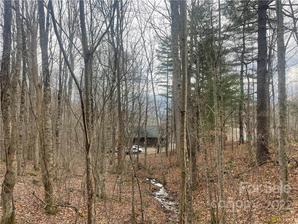 000 Apple Farm Road - Photo 1