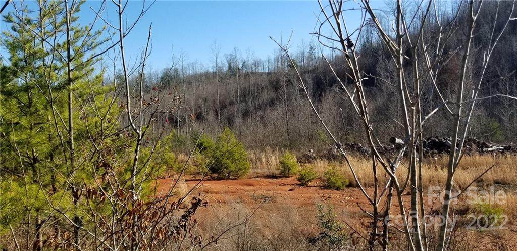 0 Brush Mountain Road - Photo 1