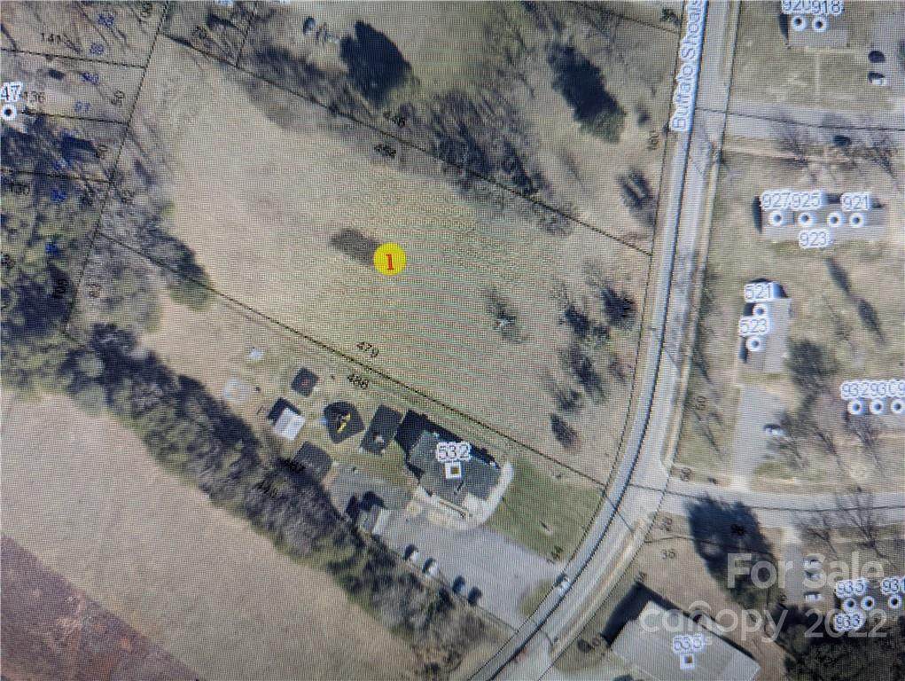 520 Buffalo Shoals Road - Photo 1