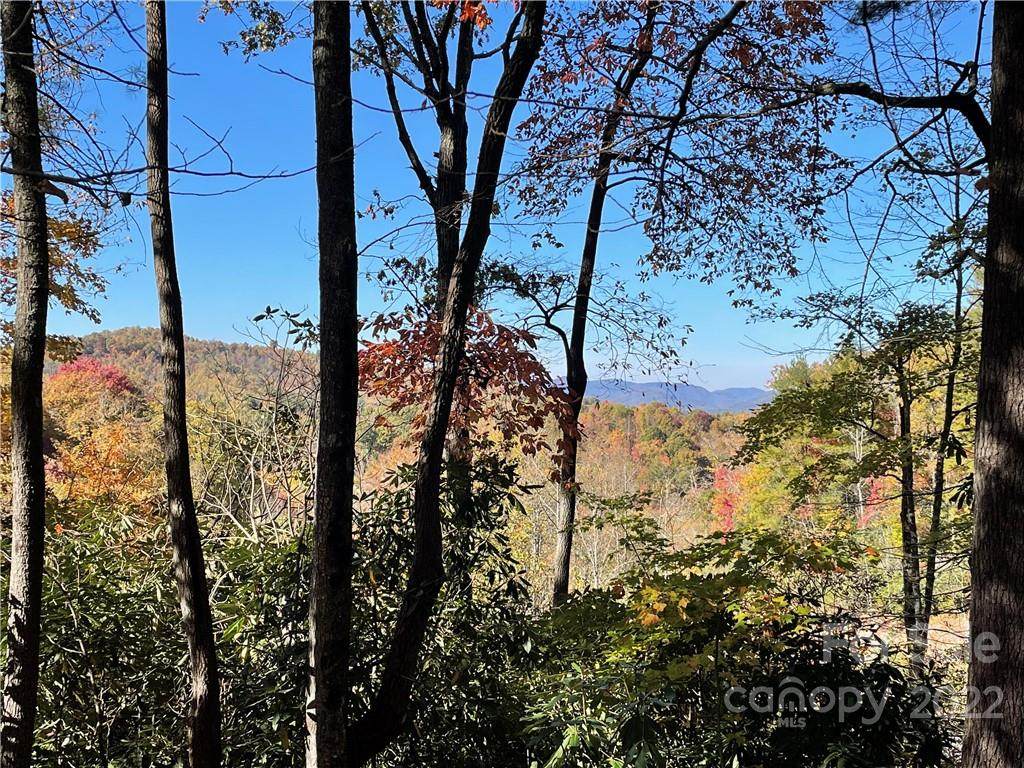 Lot 10 Cummings Ridge Trail - Photo 1