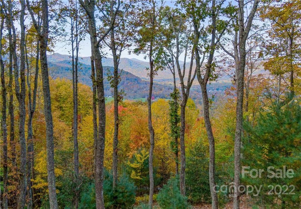 9 Deer Grass Court - Photo 1