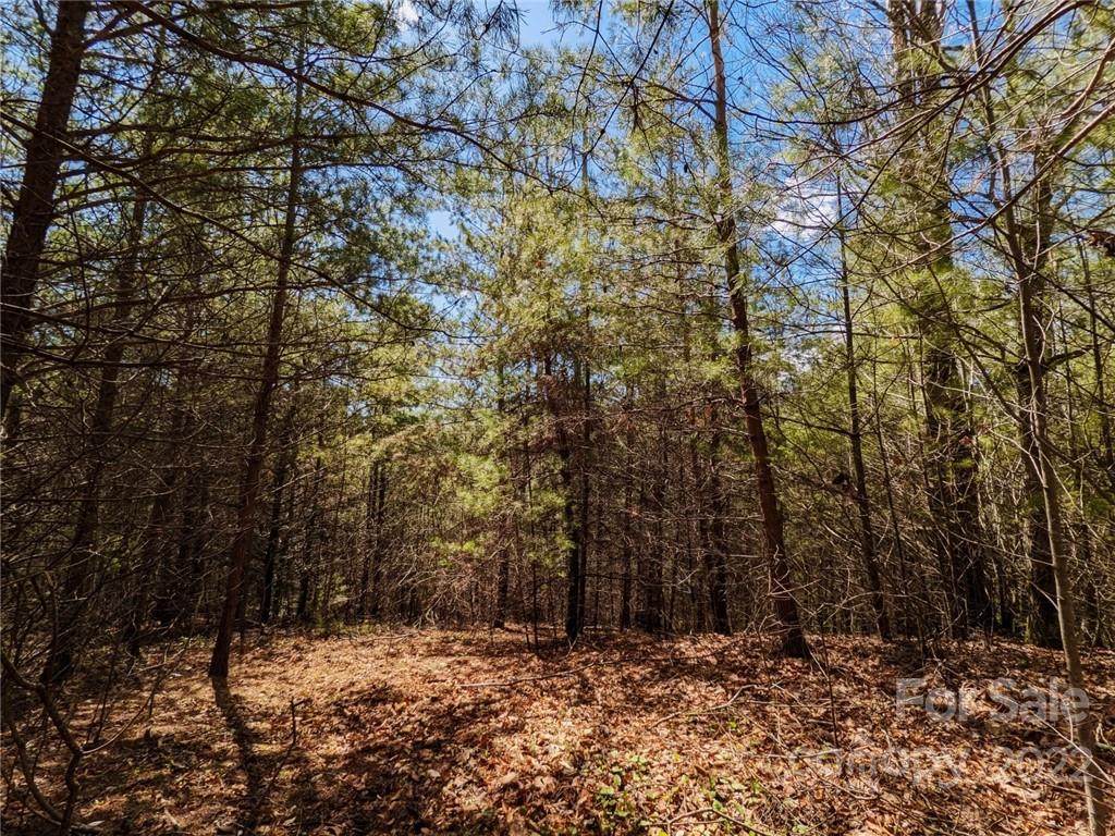 36 Pisgah Way - Photo 1