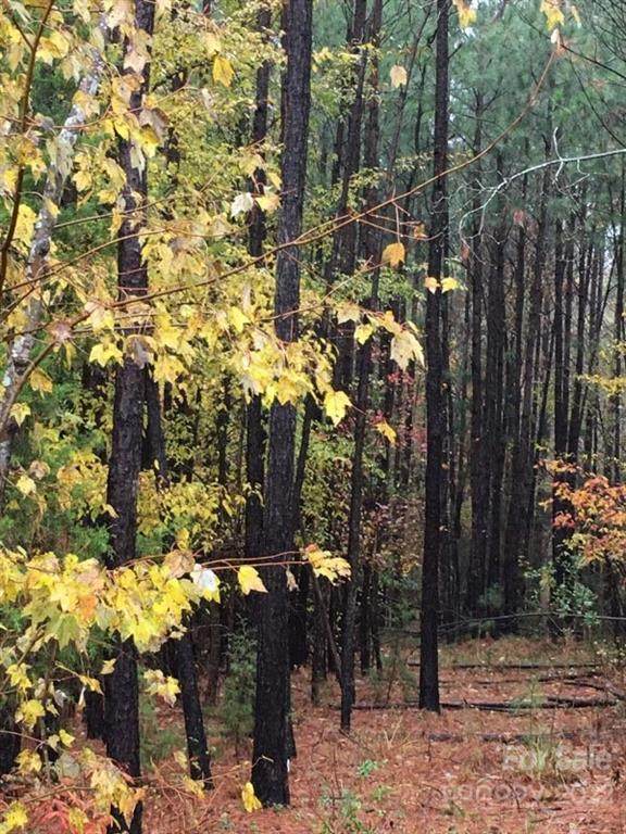 00 Old Pardue Road - Photo 1
