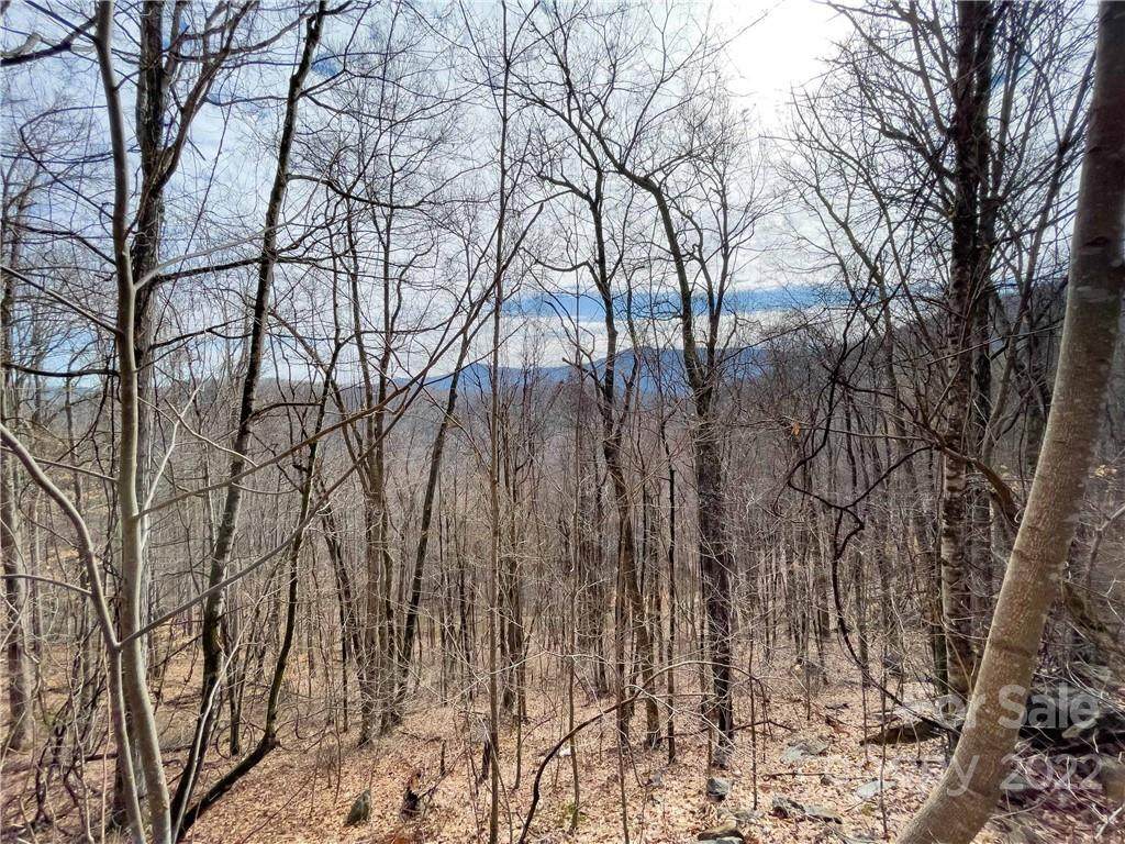000 Forest Glen Estates - Photo 1