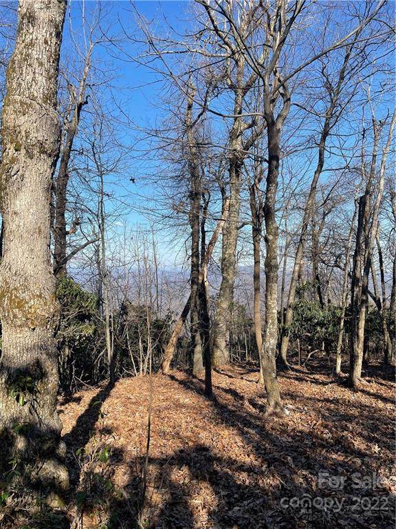 129 High Cliffs Trail - Photo 1