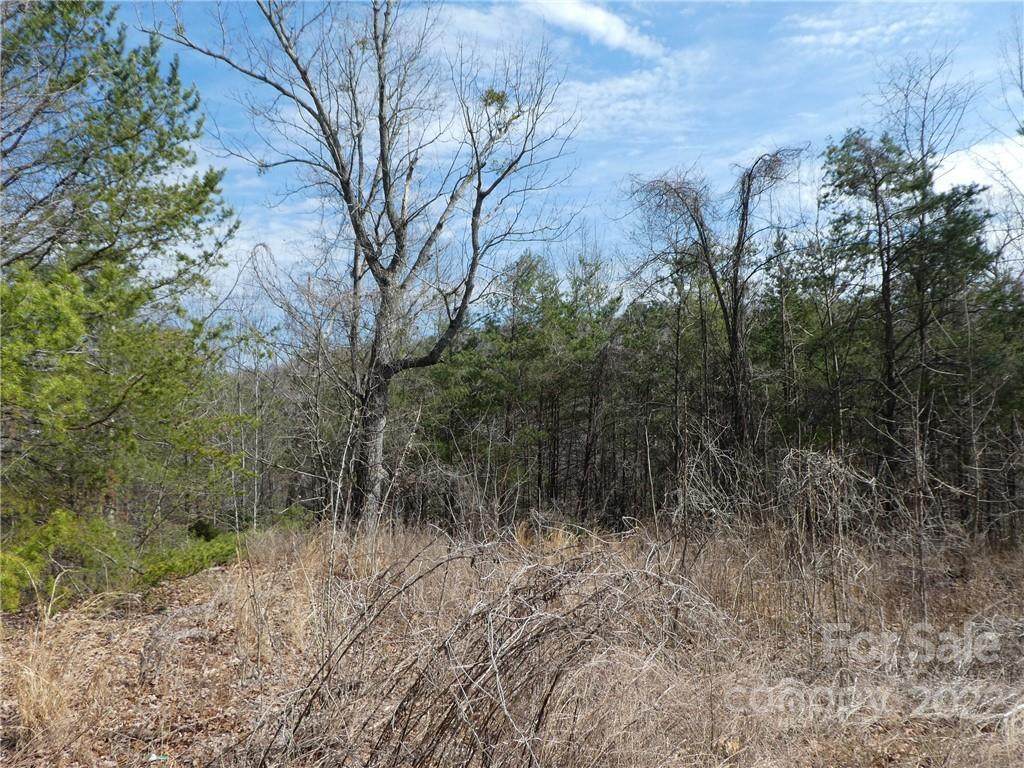 274 Lake Mountain View Drive - Photo 1