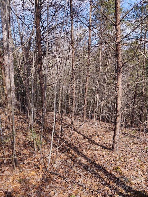 00 Riverview Forest Drive - Photo 1