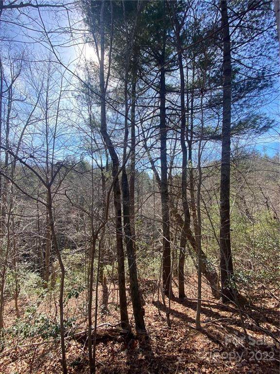 96 Winghaven Drive - Photo 1