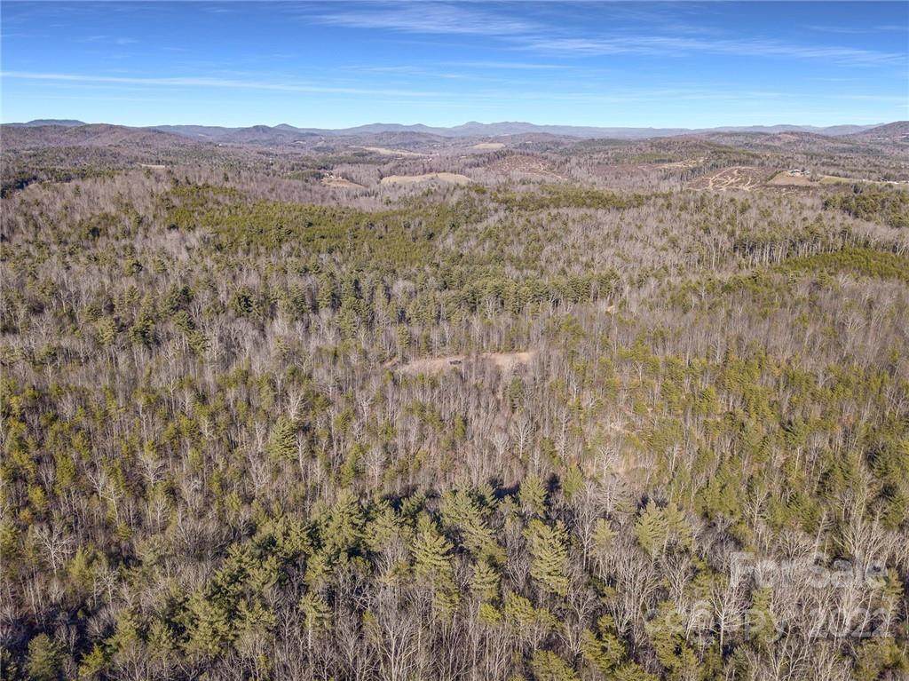 0 Taylorsville Road - Photo 1