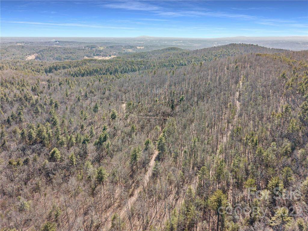 0 Taylorsville Road - Photo 1