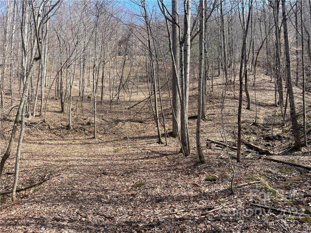 885 Stoney Stream Lane - Photo 1
