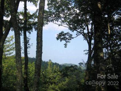 Lot 10 Deep Ford Falls Road - Photo 1