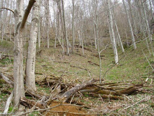 0 Lakewood Drive - Photo 1