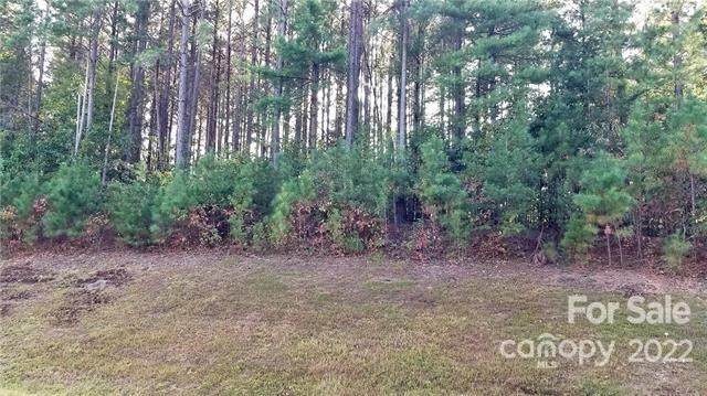 6063 Plantation Pointe Drive - Photo 1