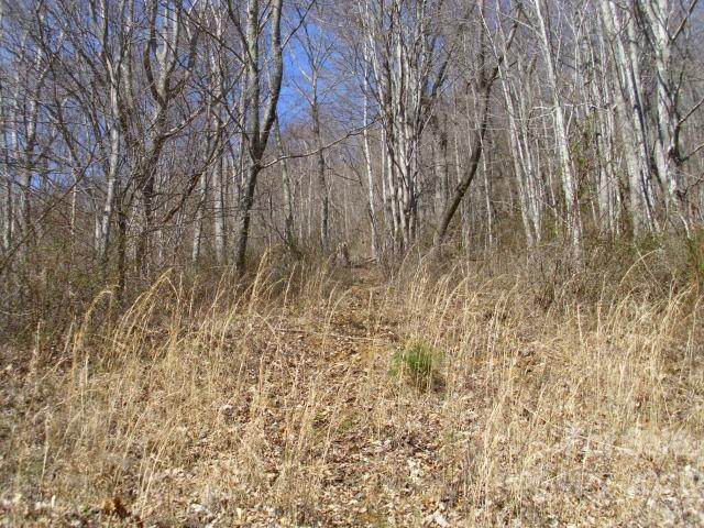 00 Lakewood Drive - Photo 1
