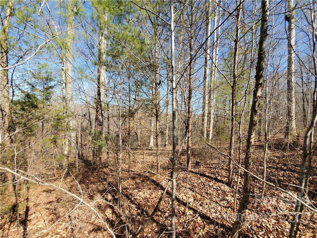 3118 Mountain Creek Drive - Photo 1