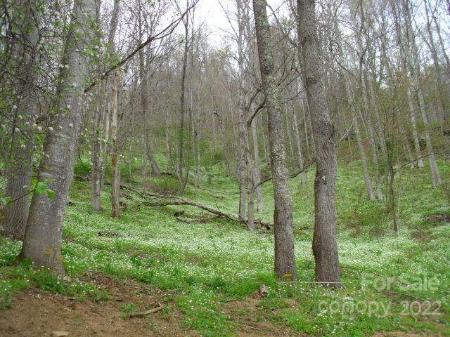 0 Lakewood Drive - Photo 1