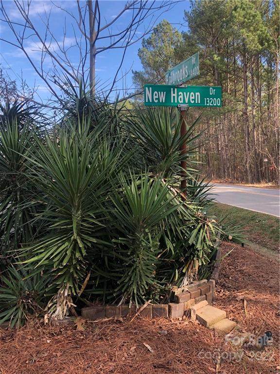 14407 New Haven Drive - Photo 1