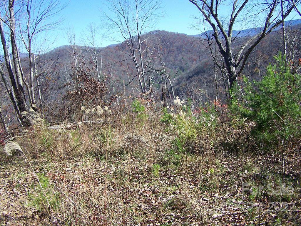 000 Paint Fork Road - Photo 1