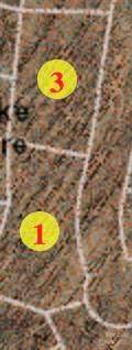 000 Hanging Rock Road - Photo 1