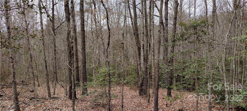 Lot 125 Shadow Drive - Photo 1