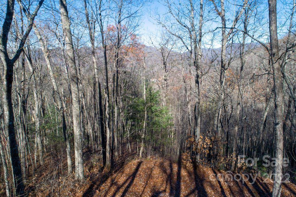 Lot 89 Woodbridge Drive - Photo 1