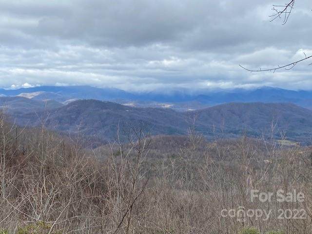 0000 Cliffledge Trail - Photo 1