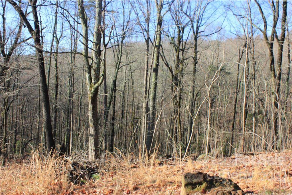 0 Gettys Road - Photo 1