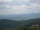 173 Grassland Pond Ridge - Photo 1