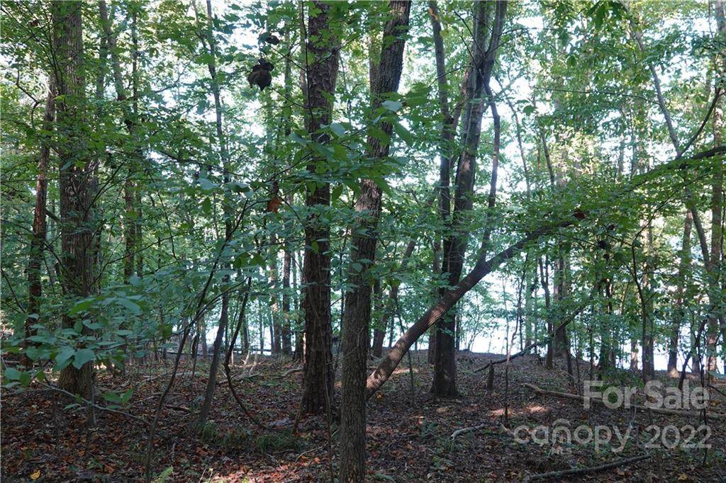 116 Fox Land Drive - Photo 1