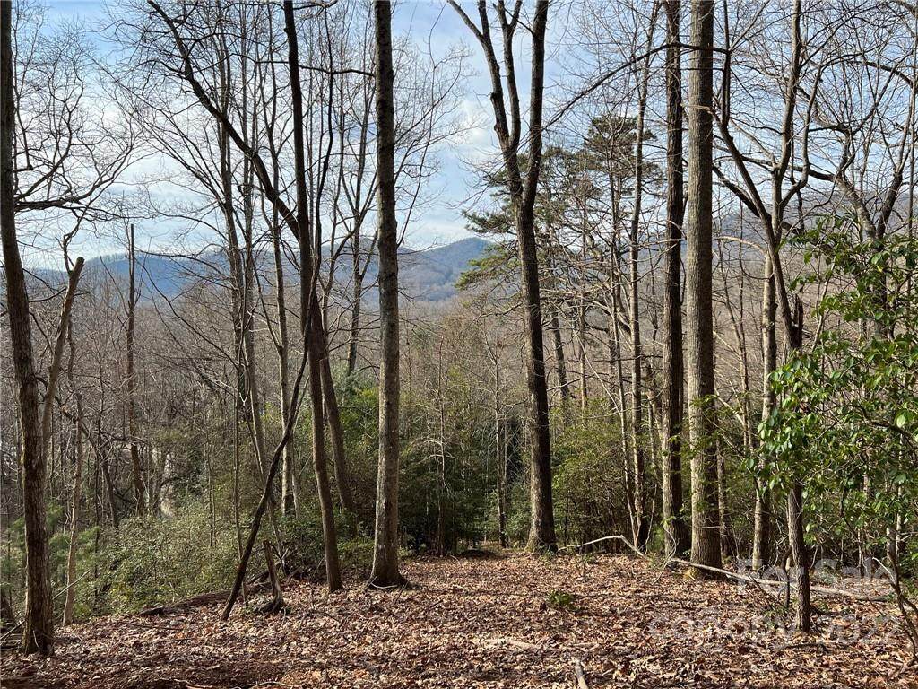 999 Sleepy Gap Road - Photo 1