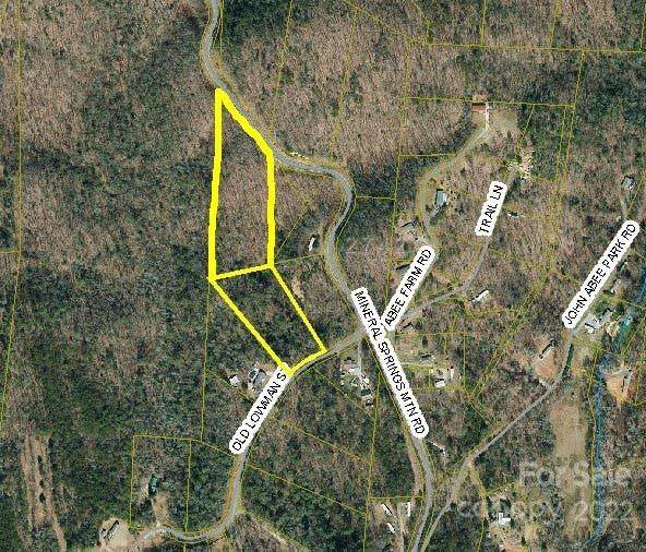 0 Mineral Springs Mountain Road - Photo 1