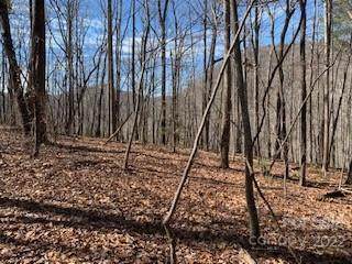 (42 ACRES) Green River Cove Road - Photo 1