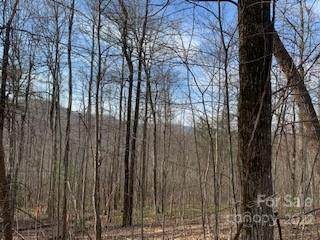 (LOT 92) Corbin Mountain Road - Photo 1
