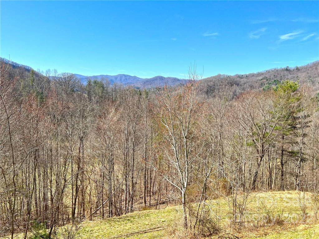 707 Woolyshot Branch Road - Photo 1
