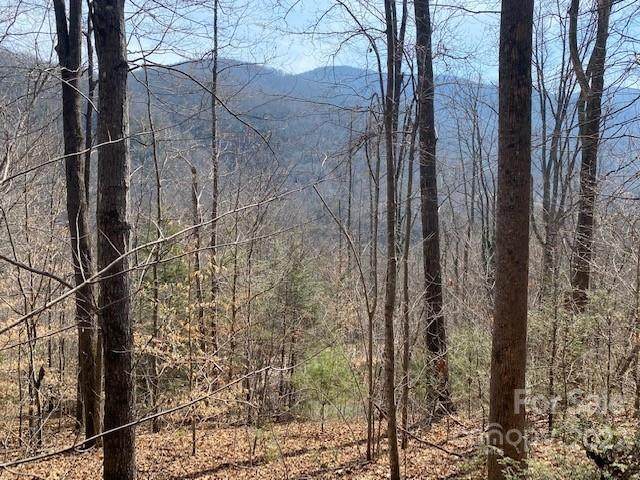 0 Beech Tree Place - Photo 1